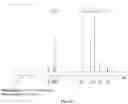 Fig. 167 - SALT AND SOLID FORMS OF TABERNANTHALOG