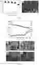 Fig. 04 - Wear-resistant super-hydrophobic composite material and preparation method thereof
