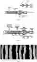 Fig. 02 - CELLULOSE-BASED EXTRUSION FOAMS