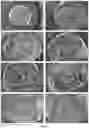 Fig. 03 - CELLULOSE-BASED EXTRUSION FOAMS