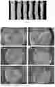 Fig. 04 - CELLULOSE-BASED EXTRUSION FOAMS