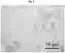 Fig. 07 - Method for producing a conductive polyurethane composite material, and said material