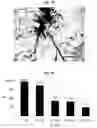 Fig. 11 - Method for producing a conductive polyurethane composite material, and said material