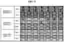 Fig. 10 - PHOTOSENSITIVE RESIN COMPOSITION AND DISPLAY DEVICE COMPRISING THE SAME