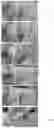 Fig. 10 - ADDITIVE MANUFACTURING USING MATERIALS THAT FORM A WEAK GEL