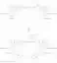Fig. 81 - FLUORENYL CYANINE DYES