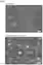 Fig. 03 - COMPOSITE PIGMENT, THERMOPLASTIC RESIN COMPOSITION CONTAINING SAME, AND MOLDED BODY