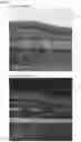 Fig. 06 - COMPOSITE PIGMENT, THERMOPLASTIC RESIN COMPOSITION CONTAINING SAME, AND MOLDED BODY