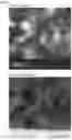 Fig. 08 - COMPOSITE PIGMENT, THERMOPLASTIC RESIN COMPOSITION CONTAINING SAME, AND MOLDED BODY