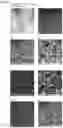 Fig. 13 - COMPOSITE PIGMENT, THERMOPLASTIC RESIN COMPOSITION CONTAINING SAME, AND MOLDED BODY