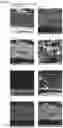 Fig. 16 - COMPOSITE PIGMENT, THERMOPLASTIC RESIN COMPOSITION CONTAINING SAME, AND MOLDED BODY