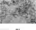 Fig. 03 - Nanoporous Cerium Oxide Nanoparticle Macro-Structures In Paints And Coatings