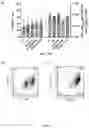 Fig. 05 - SYSTEMS AND METHODS FOR DIFFERENTIATING HEMATOPOIETIC CELLS
