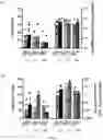 Fig. 08 - SYSTEMS AND METHODS FOR DIFFERENTIATING HEMATOPOIETIC CELLS