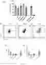 Fig. 13 - SYSTEMS AND METHODS FOR DIFFERENTIATING HEMATOPOIETIC CELLS