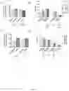 Fig. 14 - SYSTEMS AND METHODS FOR DIFFERENTIATING HEMATOPOIETIC CELLS