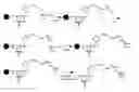 Fig. 01 - MODIFIED DNA-ENCODED CHEMICAL LIBRARY AND METHODS RELATED THERETO