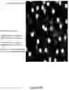 Fig. 34 - SYSTEMS AND METHODS OF DETECTING DENSELY-PACKED ANALYTES