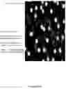Fig. 35 - SYSTEMS AND METHODS OF DETECTING DENSELY-PACKED ANALYTES