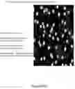 Fig. 37 - SYSTEMS AND METHODS OF DETECTING DENSELY-PACKED ANALYTES