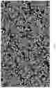Fig. 46 - SYSTEMS AND METHODS OF DETECTING DENSELY-PACKED ANALYTES