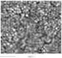 Fig. 47 - SYSTEMS AND METHODS OF DETECTING DENSELY-PACKED ANALYTES