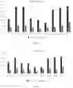 Fig. 02 - CATABODIES AND METHODS OF USE THEREOF