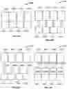 Fig. 07 - SYSTEMS AND METHODS FOR STAINING OF BIOLOGICAL SAMPLES