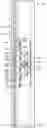 Fig. 02 - Magnetic Field Detection Apparatus, System, and Method
