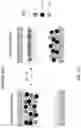 Fig. 06 - Four particle electrophoretic medium providing fast, high-contrast optical state switching