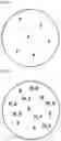 Fig. 03 - METHOD FOR DETERMINING FINE PARTICLE DEFECTS ON SILICON WAFER