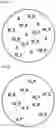 Fig. 04 - METHOD FOR DETERMINING FINE PARTICLE DEFECTS ON SILICON WAFER