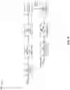 Fig. 06 - REPORTING WEIGHT UPDATES TO A NEURAL NETWORK FOR GENERATING CHANNEL STATE INFORMATION FEEDBACK