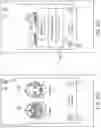 Fig. 159 - Complex computing network for improving establishment and streaming of audio communication among mobile computing devices