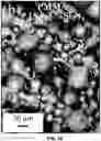 Fig. 03 - ANTIFUNGAL COMPOSITES AND METHODS THEREOF