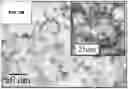 Fig. 06 - ANTIFUNGAL COMPOSITES AND METHODS THEREOF