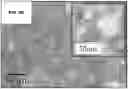 Fig. 07 - ANTIFUNGAL COMPOSITES AND METHODS THEREOF