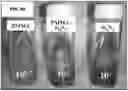 Fig. 08 - ANTIFUNGAL COMPOSITES AND METHODS THEREOF