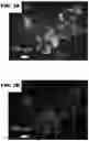 Fig. 09 - ANTIFUNGAL COMPOSITES AND METHODS THEREOF