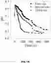 Fig. 20 - ANTIFUNGAL COMPOSITES AND METHODS THEREOF