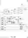 Fig. 53 - SYSTEMS AND METHODS FOR PROVIDING FOOD INTERVENTION AND TENDERIZATION