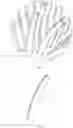 Fig. 07 - MASCARA BRUSH HAVING TORNADO-SHAPED BRISTLE