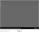 Fig. 03 - Preparation and application of dye-functionalized flexible upconversion-luminescence solid-phase sensor