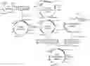 Fig. 01 - ISOLATED RECOMBINANT ONCOLYTIC POXVIRUS CAPABLE OF BEING REGULATED AND CONTROLLED BY MICRORNA AND USE THEREOF