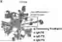 Fig. 01 - COMPUTATIONAL MODELS TO ANALYZE RNA VELOCITY