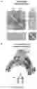 Fig. 05 - COMPUTATIONAL MODELS TO ANALYZE RNA VELOCITY