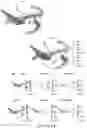 Fig. 09 - COMPUTATIONAL MODELS TO ANALYZE RNA VELOCITY