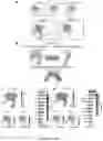 Fig. 13 - COMPUTATIONAL MODELS TO ANALYZE RNA VELOCITY