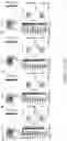 Fig. 35 - COMPUTATIONAL MODELS TO ANALYZE RNA VELOCITY