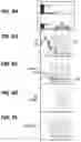 Fig. 09 - PLASMA PROCESSING METHOD AND PLASMA PROCESSING APPARATUS